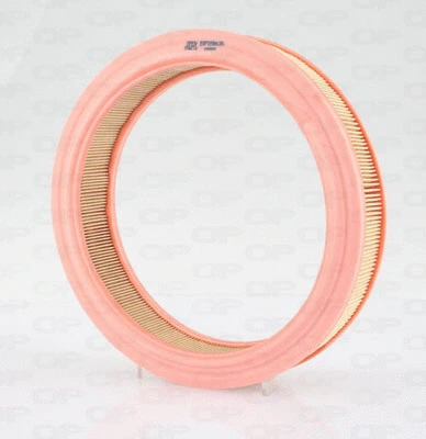 Air Filter (EAF3569.20)