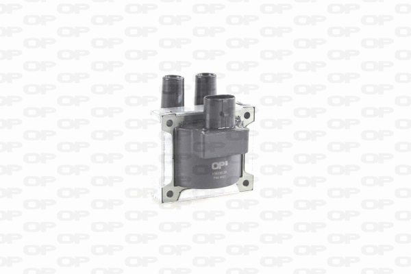 Ignition Coil (IGN1001.00)