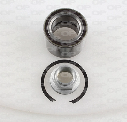 Wheel Bearing Kit (HBK5024.01)