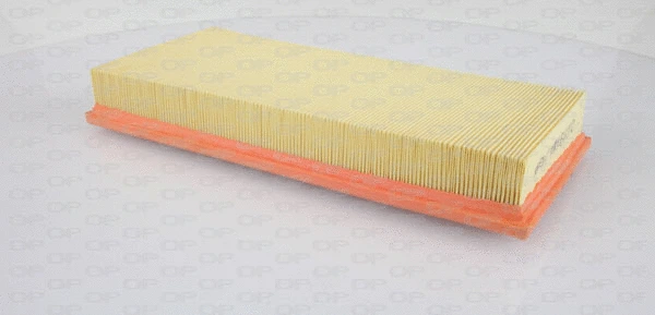 Air Filter (EAF3351.10)