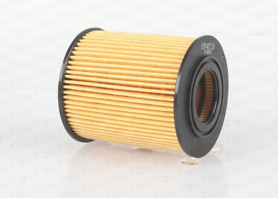 Oil Filter (EOF4073.10)