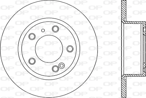 Brake Disc (BDR1116.10)