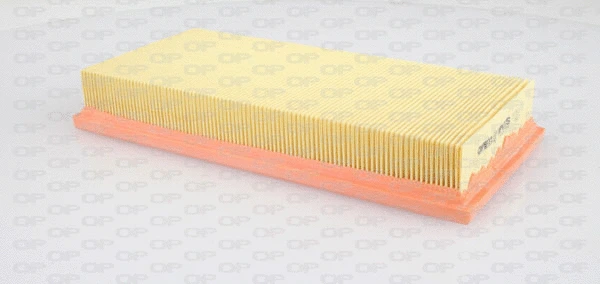 Air Filter (EAF3307.10)