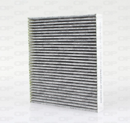 Filter, cabin air (CAF2101.11)