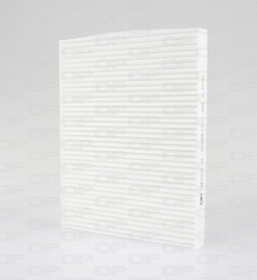 Filter, cabin air (CAF2234.01)