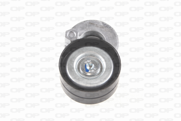 Belt Tensioner, V-ribbed belt (ACT2206.00)