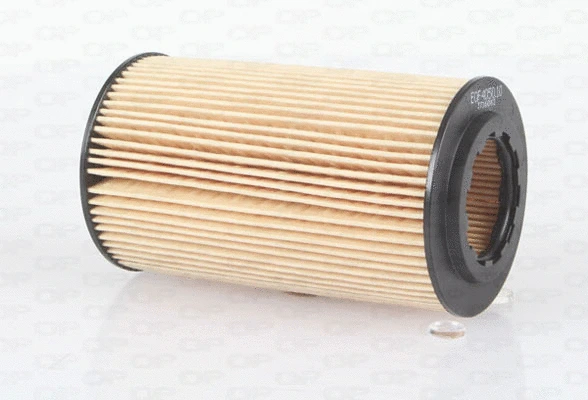 Oil Filter (EOF4050.10)