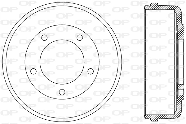 Brake Drum (BAD9074.10)