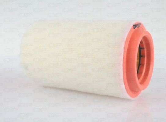 Air Filter (EAF3620.20)