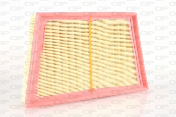 Air Filter (EAF3739.10)