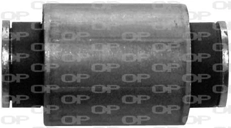 Mounting, control/trailing arm (SSS1071.11)