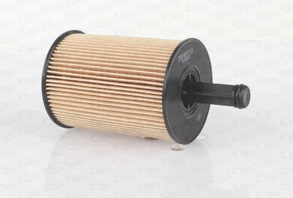 Oil Filter (EOF4003.10)