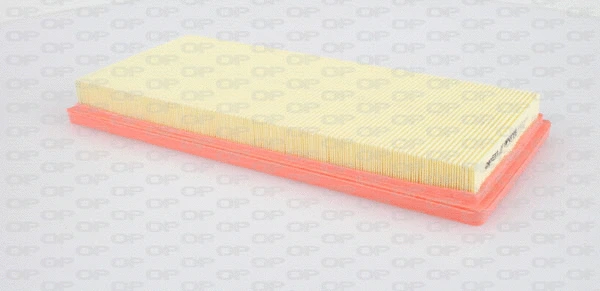 Air Filter (EAF3141.10)