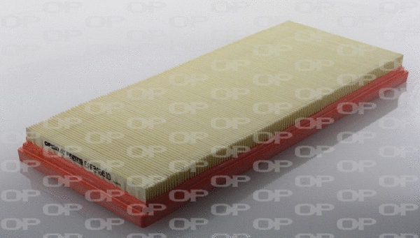 Air Filter (EAF3466.10)
