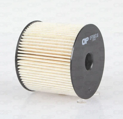 Fuel Filter (EFF5007.10)