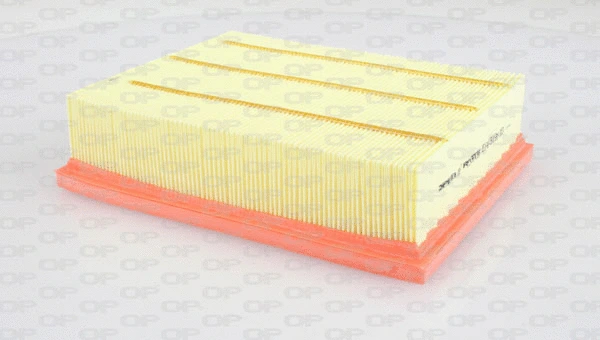 Air Filter (EAF3199.10)