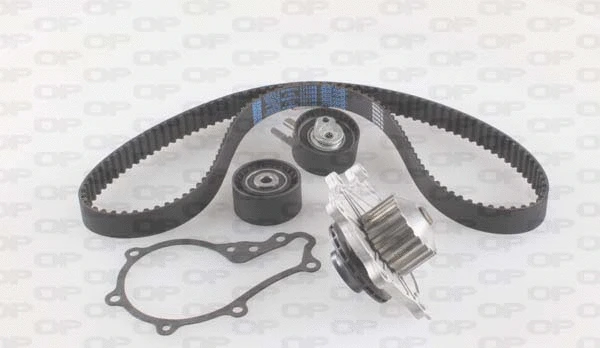 Water Pump & Timing Belt Kit (WTBK5013.00)