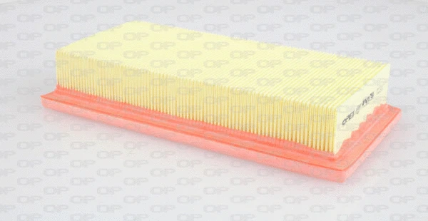 Air Filter (EAF3207.10)