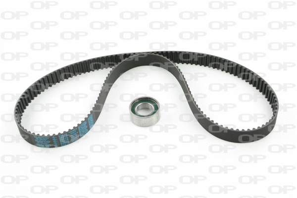 Timing Belt Kit (TBK5095.01)