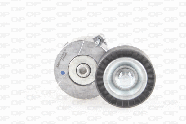 Belt Tensioner, V-ribbed belt (ACT2207.00)