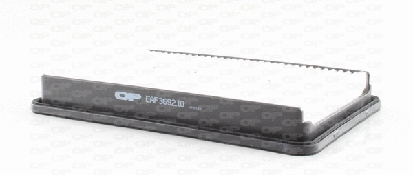Air Filter (EAF3692.10)