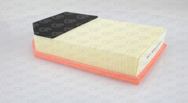 Air Filter (EAF3253.10)