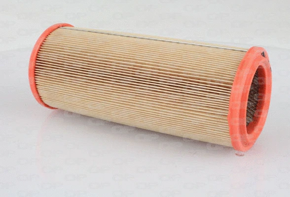 Air Filter (EAF3024.20)