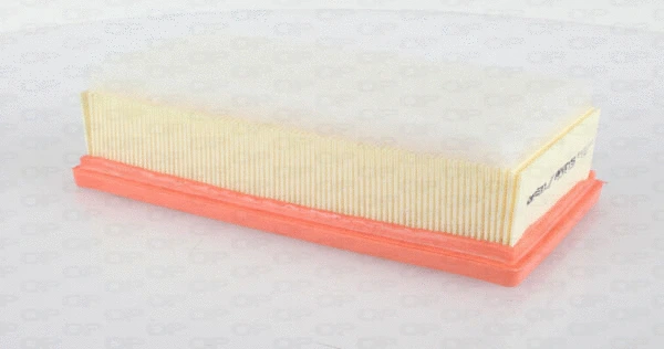 Air Filter (EAF3633.10)