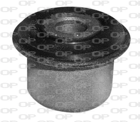 Mounting, control/trailing arm (SSS1027.11)