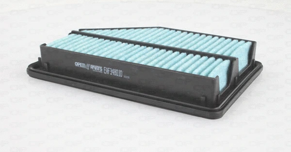 Air Filter (EAF3480.10)