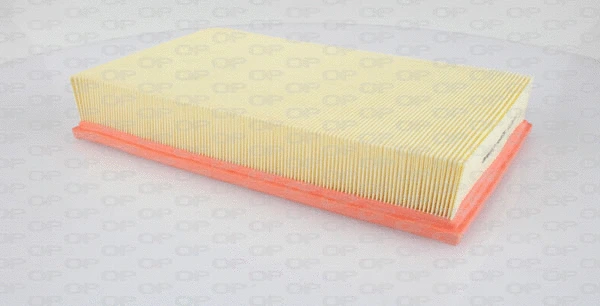 Air Filter (EAF3303.10)