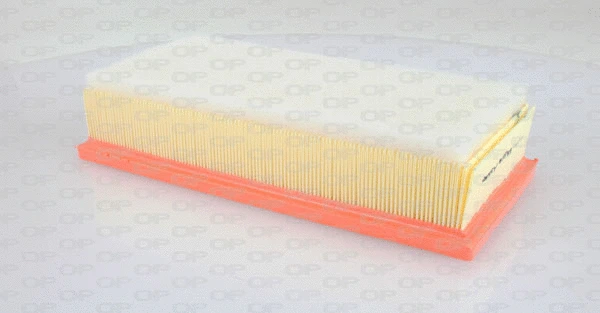 Air Filter (EAF3249.10)