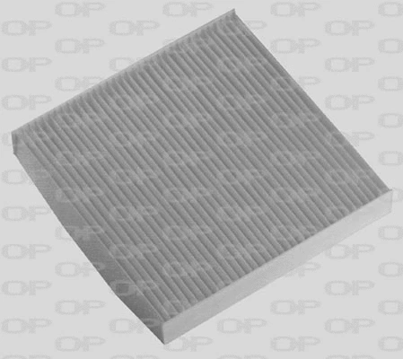 Filter, cabin air (CAF2129.01)