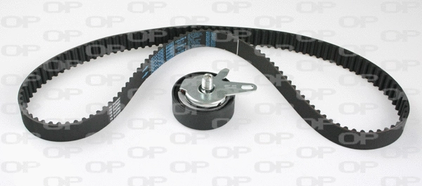Timing Belt Kit (TBK5105.01)
