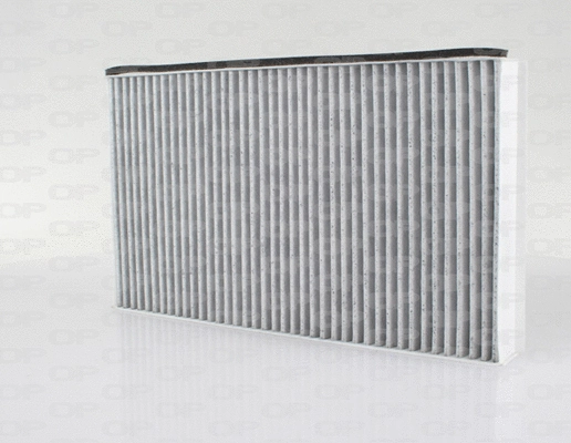 Filter, cabin air (CAF2119.11)