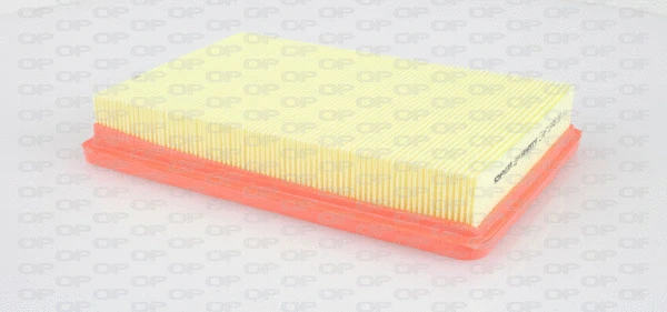 Air Filter (EAF3336.10)