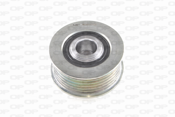 Alternator Freewheel Clutch (ACA3014.00)