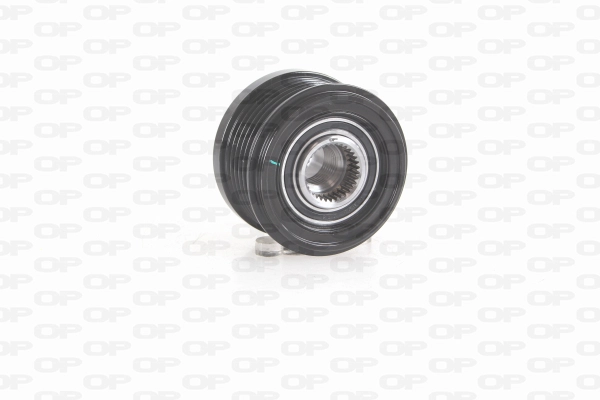 Alternator Freewheel Clutch (ACA3019.00)
