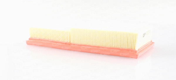 Air Filter (EAF3453.10)