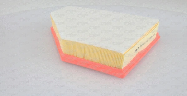 Air Filter (EAF3117.10)