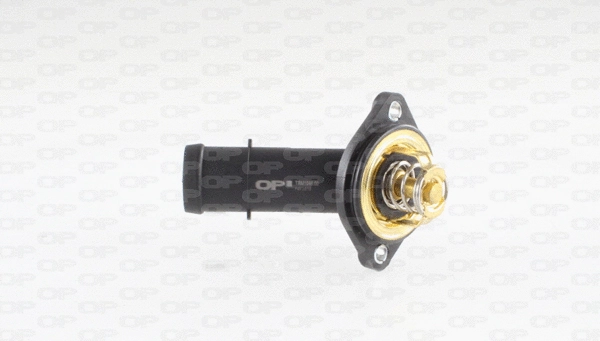 Thermostat, coolant (TRM1046.00)