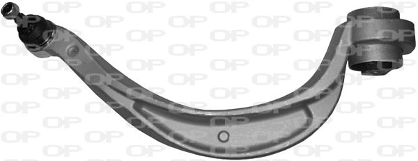 Control/Trailing Arm, wheel suspension (SSW1124.10)