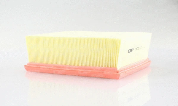 Air Filter (EAF3113.10)