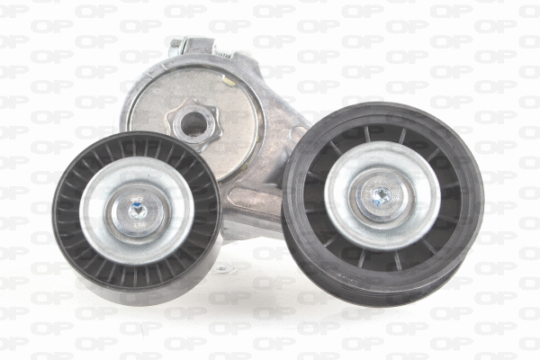 Belt Tensioner, V-ribbed belt (ACT2181.00)