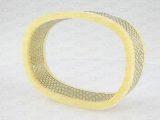 Air Filter (EAF3422.30)