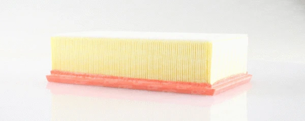 Air Filter (EAF3183.10)