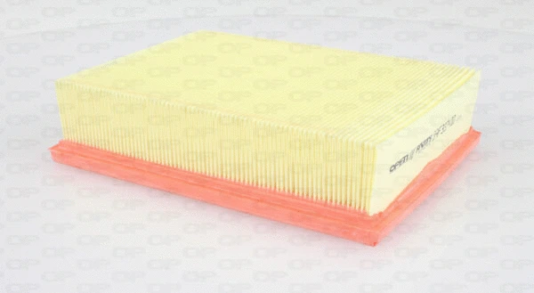 Air Filter (EAF3374.10)