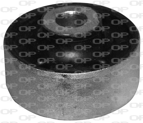Mounting, control/trailing arm (SSS1002.11)