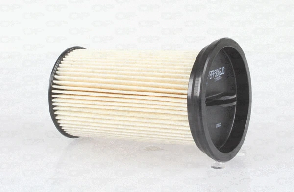 Fuel Filter (EFF5065.10)