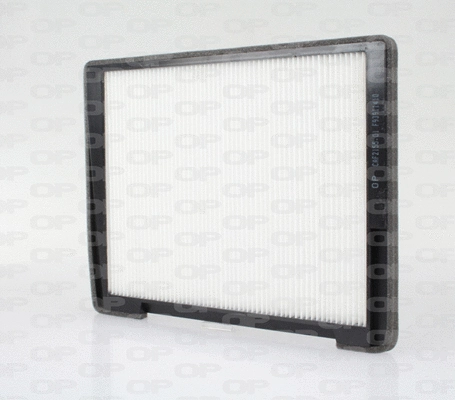 Filter, cabin air (CAF2155.01)
